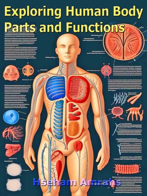 cover image of Exploring Human Body Parts and Functions